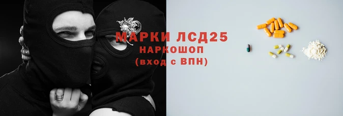 индика Лихославль