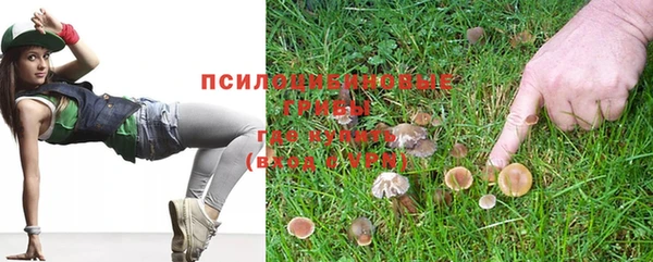 сатива Лиски