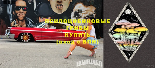 индика Лихославль