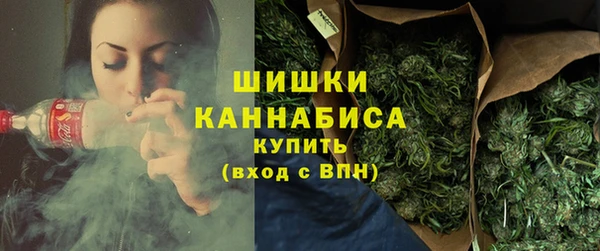 индика Лихославль