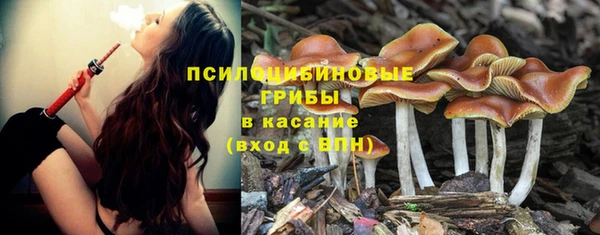 сатива Лиски