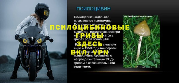 круглые Липки