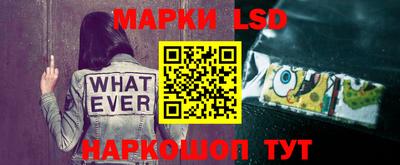 PSILOCYBIN Жуковский