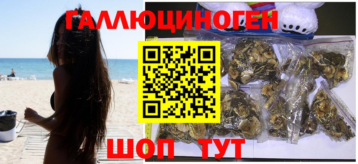 Псилоцибиновые грибы GOLDEN TEACHER Ханты-Мансийск
