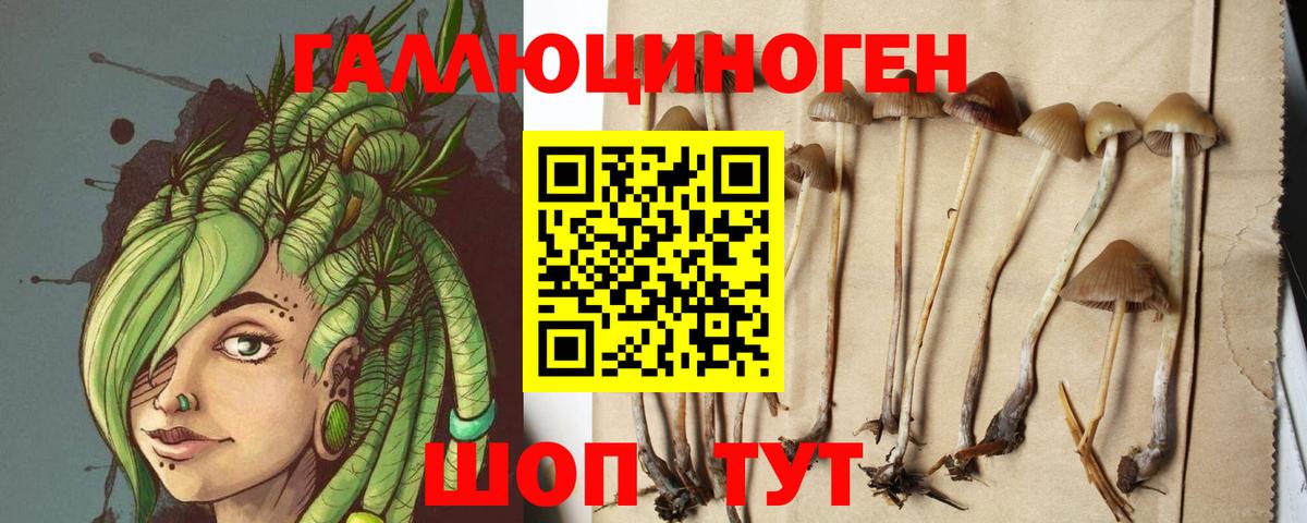 Псилоцибиновые грибы Cubensis Ханты-Мансийск