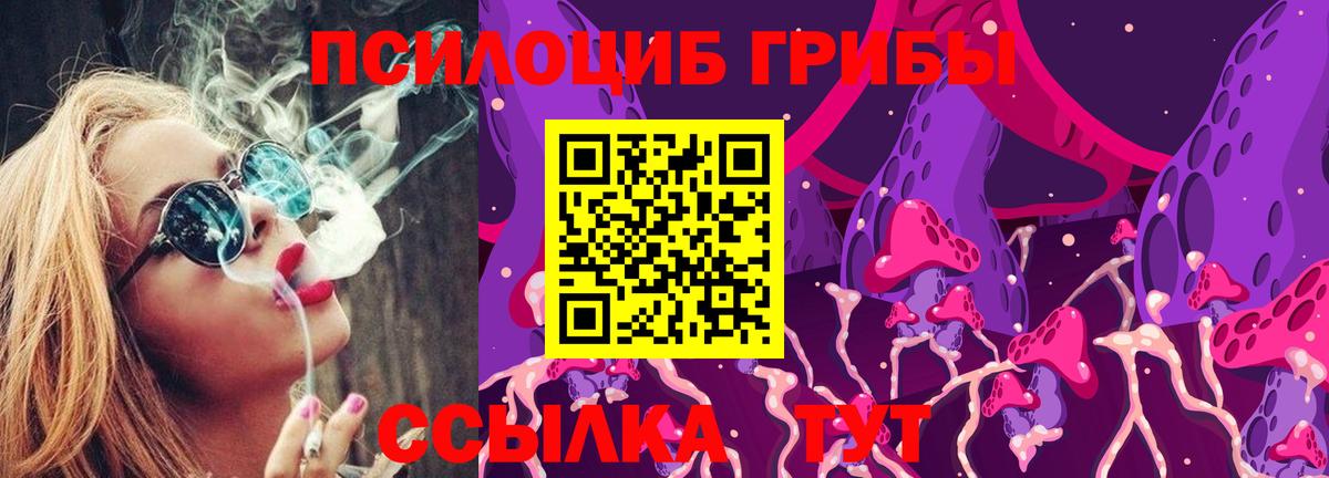 Псилоцибиновые грибы Cubensis  Ханты-Мансийск  Галлюциногенные грибы Magic Shrooms 