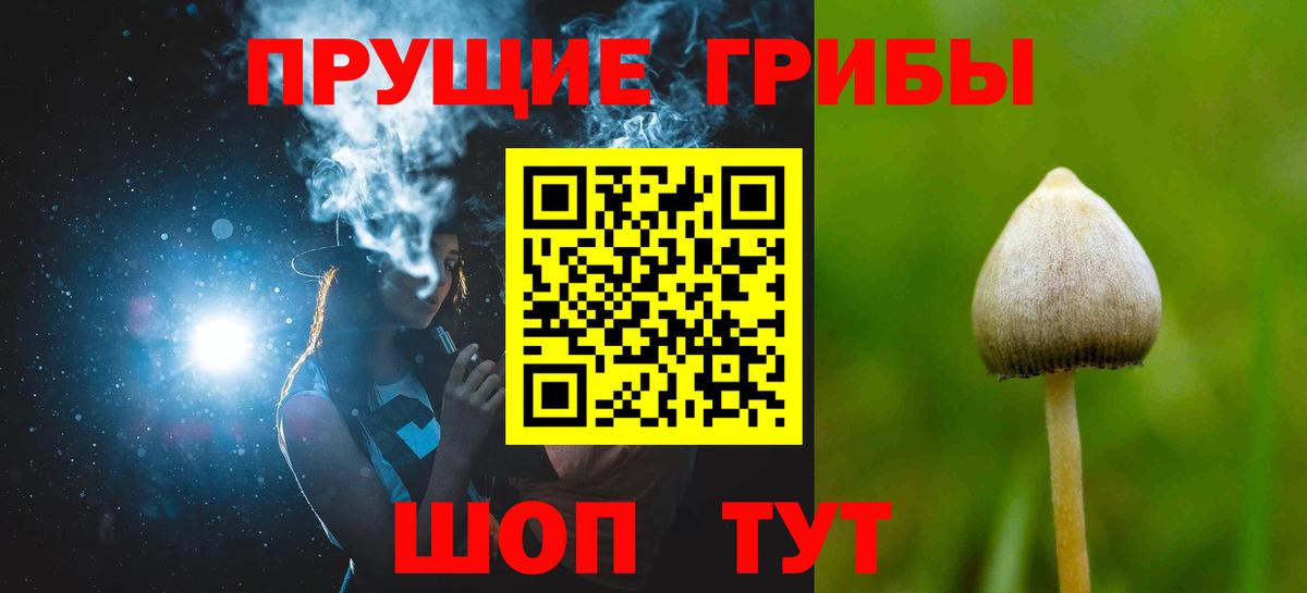 Псилоцибиновые грибы MAGIC MUSHROOMS  Вход с VPN  Псилоцибиновые грибы MAGIC MUSHROOMS  Ханты-Мансийск 